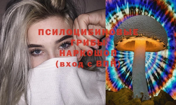 дурь Алексин