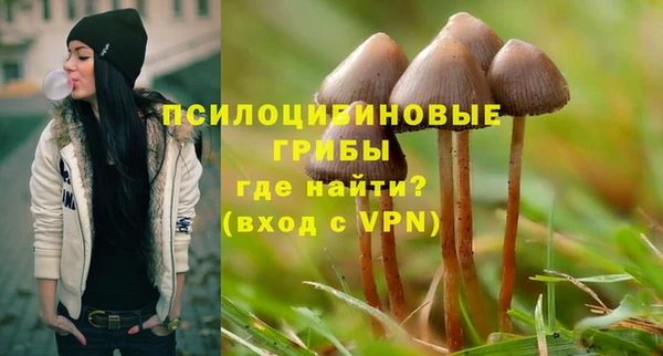 дурь Алексин