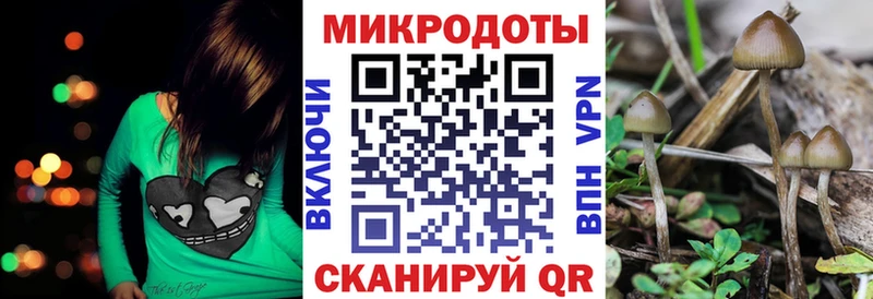 где найти   Елец  это наркотические препараты  Псилоцибиновые грибы Magic Shrooms 